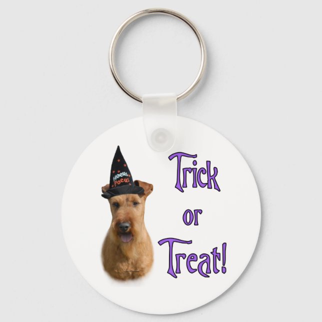 Irish Terrier Trick Nyckelring (Framsida)