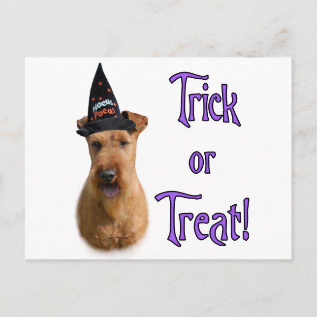 Irish Terrier Trick Vykort (Framsida)