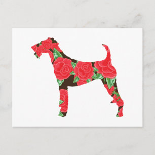 Irish Terrier Vykort