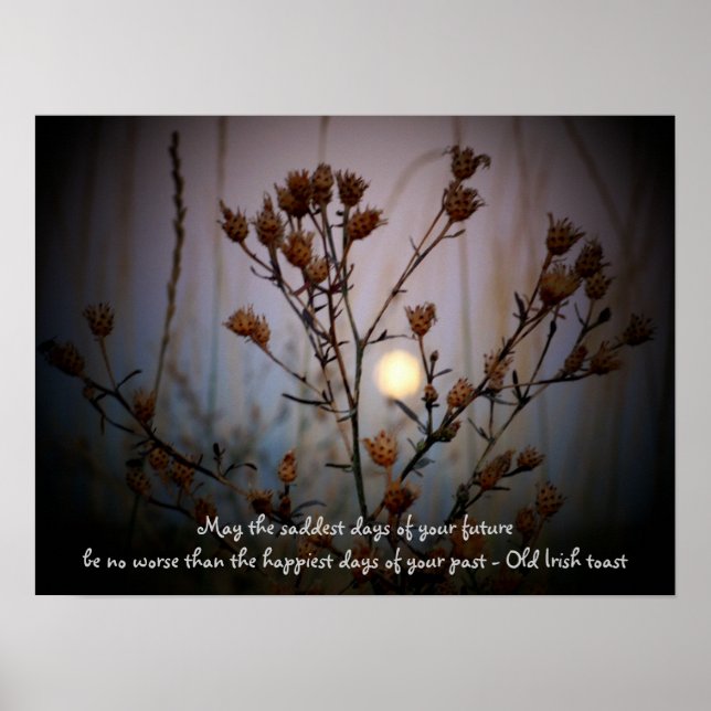 Irish Toast with Full Moon through Sage Poster (Framsidan)