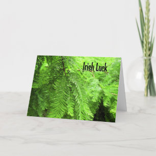 Irish Tur Card i Grönt Kort
