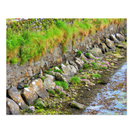 Irish Vår #1 Fototryck