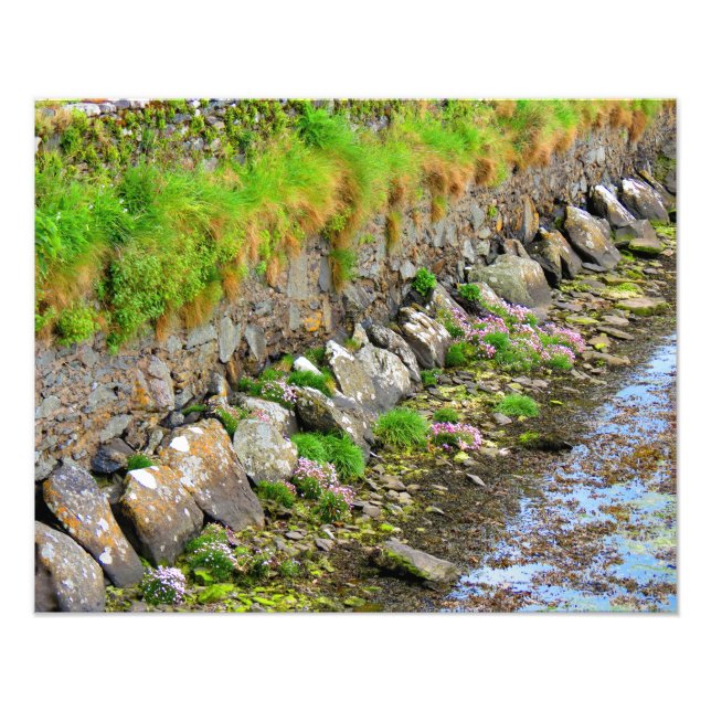 Irish Vår #1 Fototryck (Framsidan)