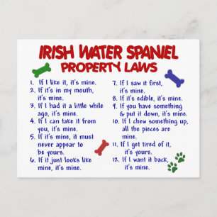 IRISH VATTEN SPANIEL Egendom LAGSTIFTNING 2 Vykort