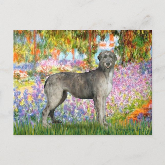 Irish Wolfhound 3 - Garden Vykort (Framsida)