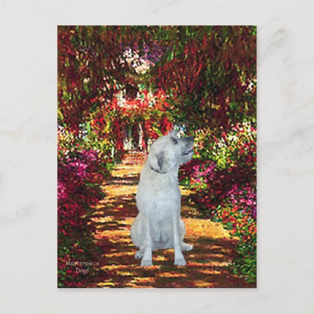 Irish Wolfhound 4 - Väg Vykort (Framsida)