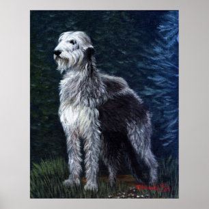 Irish Wolfhound Hund Porträtt Poster