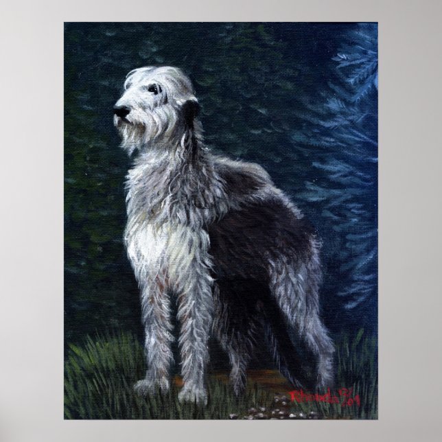 Irish Wolfhound Hund Porträtt Poster (Framsidan)