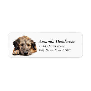 Irish Wolfhound Hund Returetiketter Returadress Etikett