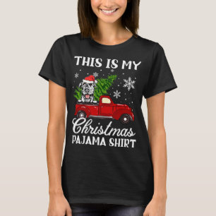 Irish Wolfhound Hund Riding Red Lastbil med Christ T Shirt