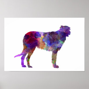 Irish Wolfhound i vattenfärg Poster