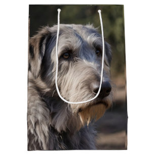 Irish Wolfhound, jag är inte förtjust,