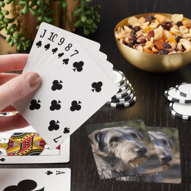 Irish Wolfhound, jag är inte förtjust, Casinokort (På plats)