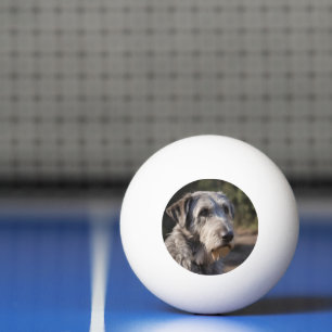 Irish Wolfhound, jag är inte förtjust, Pingisboll