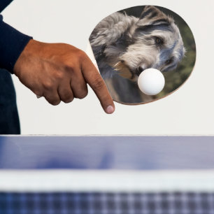 Irish Wolfhound, jag är inte förtjust, Pingisracket