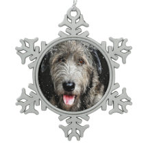 Irish Wolfhound jul