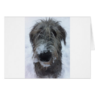 Irish wolfhound leker i snö hälsningskort