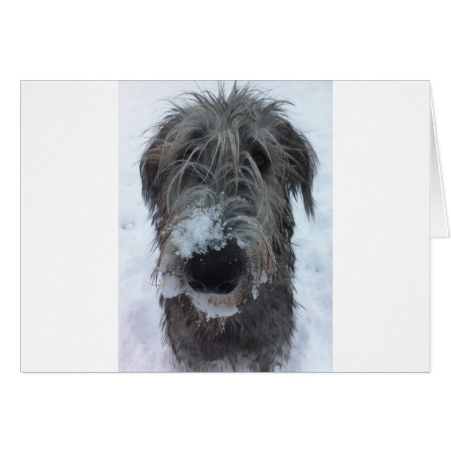 Irish wolfhound leker i snö hälsningskort (Framsidan Horizontal)