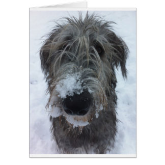 Irish wolfhound leker i snö hälsningskort