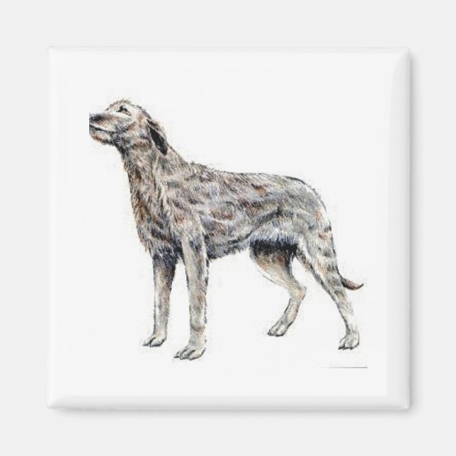 Irish Wolfhound Magnet (Framsidan)