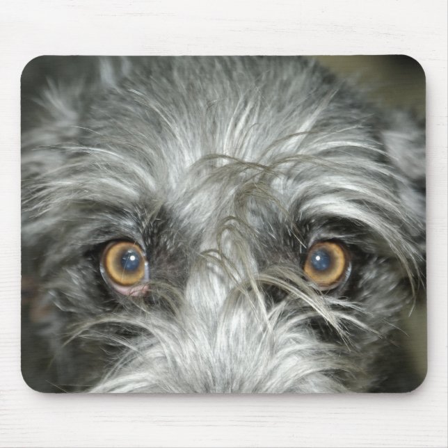 irish wolfhound mouse pad musmatta (Framsidan)