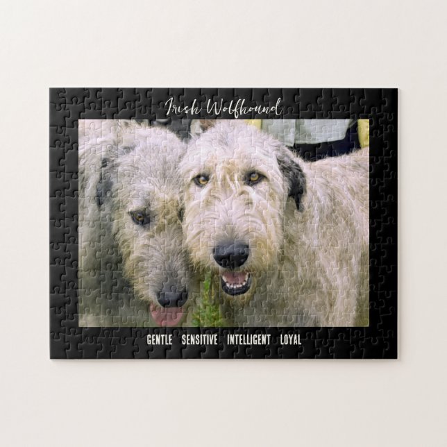 Irish Wolfhound Photo Hund aveln Pussel (Horisontell)
