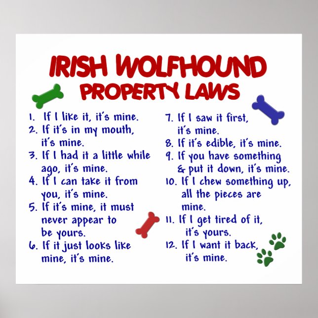 IRISH WOLFHOUND PL2 POSTER (Framsidan)
