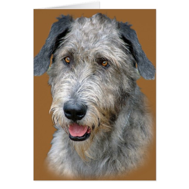 Irish Wolfhound Porträtt Hälsningskort (Framsidan)