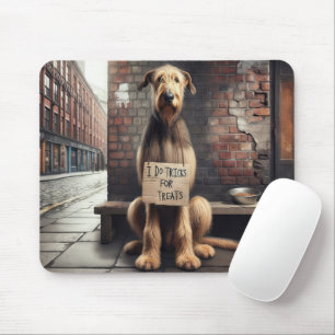 Irish Wolfhound som tigger om Treats Musmatta