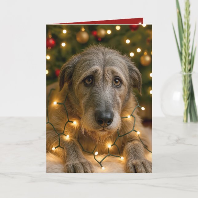 Irish Wolfhound Tangled In Holiday Lights Kort (Framsida)