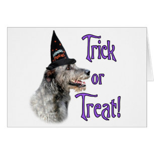 Irish Wolfhound Trick Hälsningskort