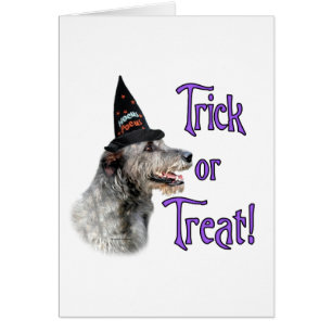 Irish Wolfhound Trick Hälsningskort