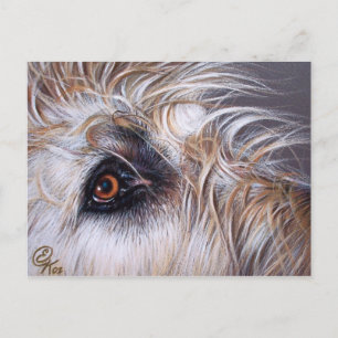 Irish Wolfhound Vykort