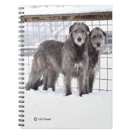 Irish Wolfhounds i Snö Anteckningsbok