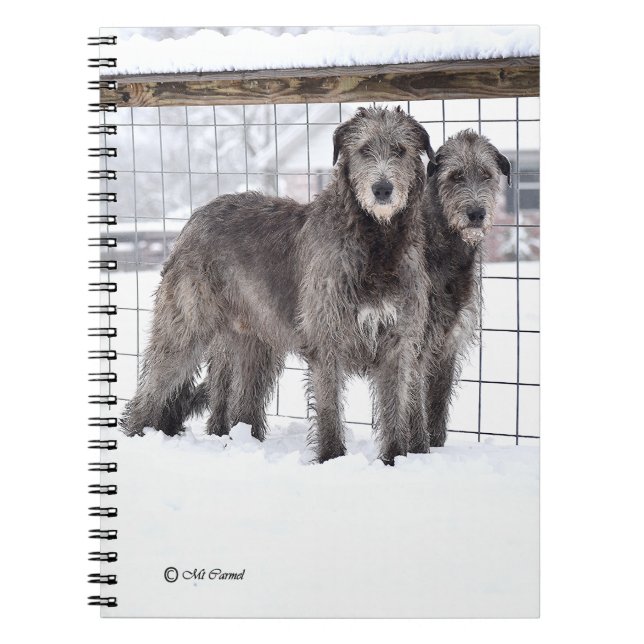 Irish Wolfhounds i Snö Anteckningsbok (Framsidan)