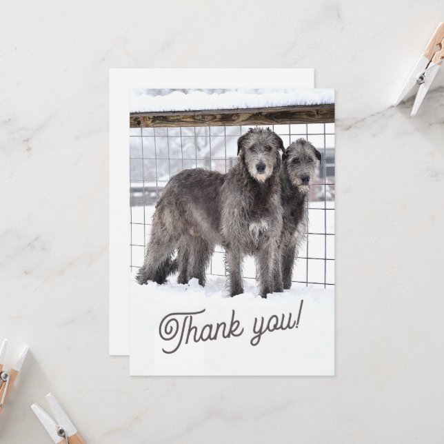 Irish Wolfhounds i Snö Inbjudningar (Fram/Back In Situ)