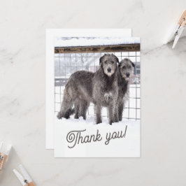 Irish Wolfhounds i Snö Inbjudningar