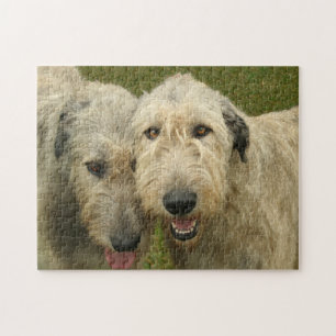 Irish Wolfhounds Photo Pussel