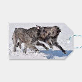 Irish Wolfhounds som springer i Snö Presentetikett