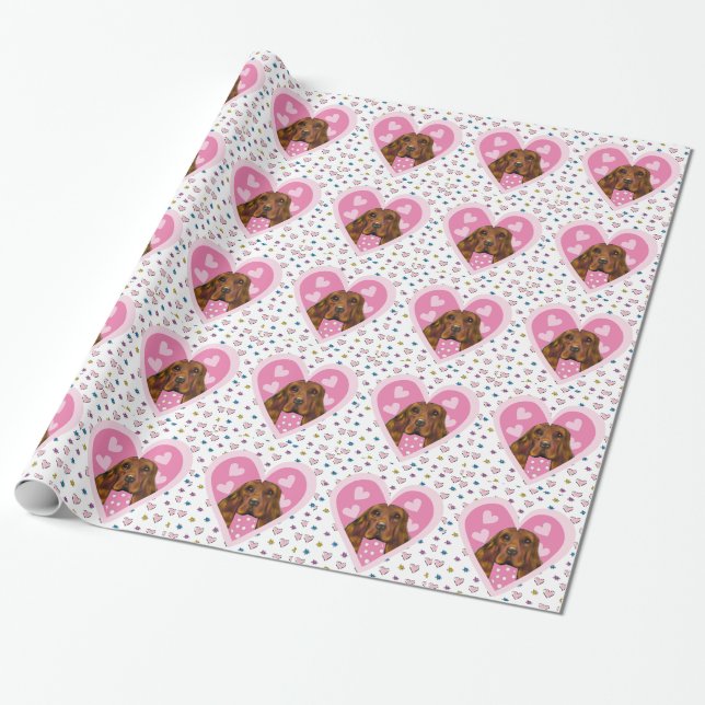 IRISK SETTER PRESENTPAPPER (Utrullad)
