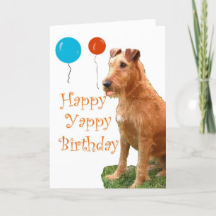IRISK TERRIER KORT
