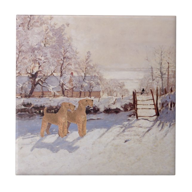 Iriska terrier i vinter kakelplatta (Framsidan)
