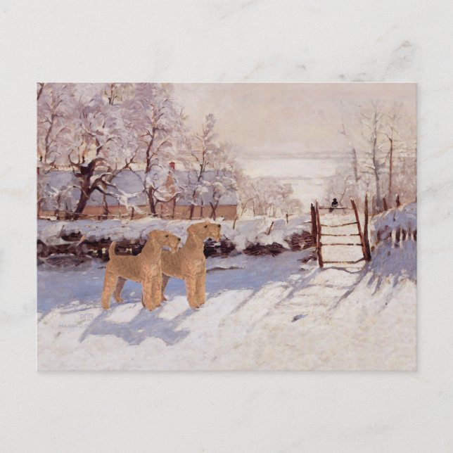 Iriska terrier i vinter vykort (Framsida)