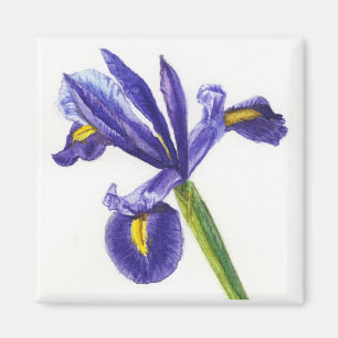 Irismagnet Magnet