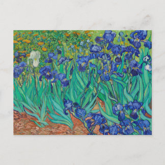 Irismer 1889 av Vincent Van Gogh Fine Art Flowers Vykort