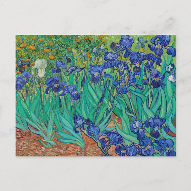 Irismer 1889 av Vincent Van Gogh Fine Art Flowers Vykort (Framsida)