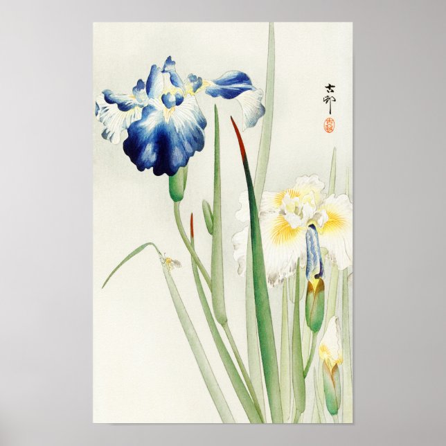 Irismer av Ohara Koson Poster (Framsidan)