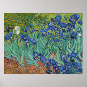 Irismer av Vincent Van Gogh 1889 Poster