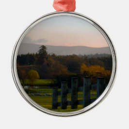 Irland är vackert julgransprydnad metall