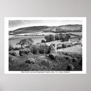 Irland - Co. Laois, Dunamase slott Poster